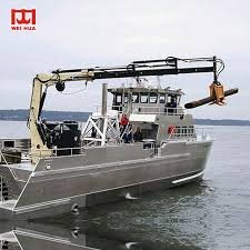 Telescopic Crane